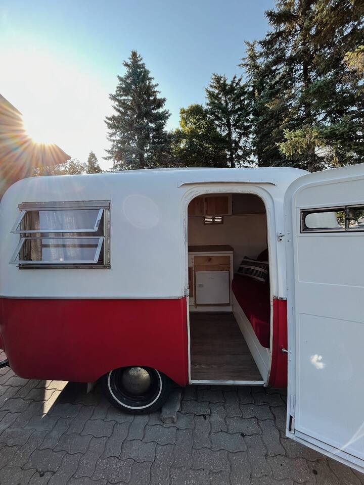 Nemo The Boler